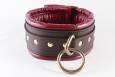 Coach padded collar